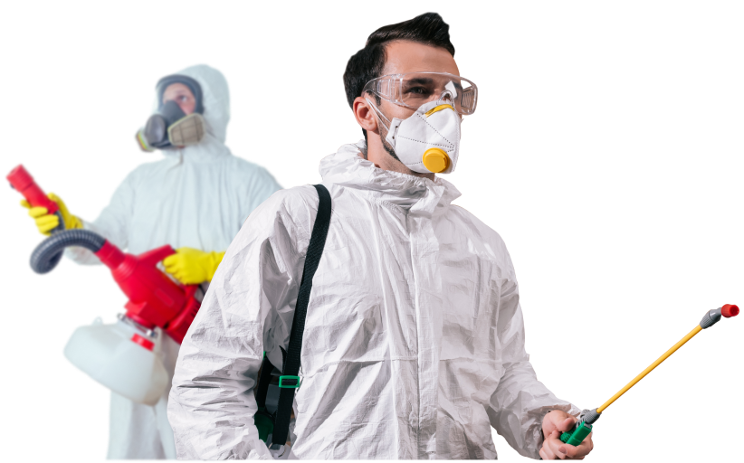 Pest Control Expert